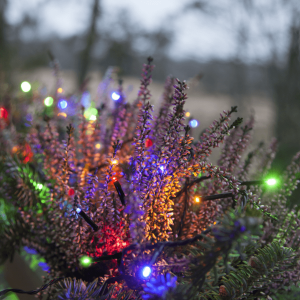 Lampki choinkowe LED 384 diody 2m Multikolor CLUSTER