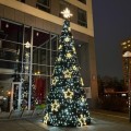 Choinka stożkowa o wysokości 8,8 metra ustawiona przed nowoczesnym budynkiem, ozdobiona gwiazdkami LED w ciepłej barwie i drobnymi światełkami, z jasną gwiazdą na szczycie i odbiciem dekoracji w przeszklonej fasadzie.