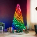 TWKC_Gallery_2_1200x.webp