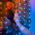 TWKP_Gallery_02_700x.webp