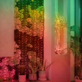 TWKP_Gallery_05_700x.webp