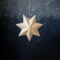 231-56-1_PB_001.png