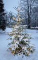 590-81,590-84_MB_004.png