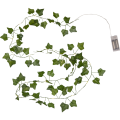 729-84_FL_001.png