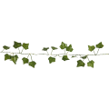 729-84_FL_002.png