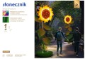 Słonecznik LED dekoracyjny fotopunkt z podświetlaną formą kwiatową, instalacja parkowa do zdjęć ustawiona w przestrzeni miejskiej, przyciągająca uwagę ciepłym światłem i efektowną, letnią kompozycją. ID 145093.