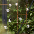 Girlanda LED z przezroczystymi kulami i dodatkowymi punktami świetlnymi zamocowana na metalowej kratce w ogrodzie, ciepłe białe światło dekoracyjne.