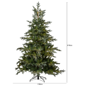 608-55-2_MT.png