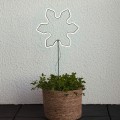 Dekoracja NEON LED w kształcie gwiazdki umieszczona w doniczce z zieloną rośliną; białe światło, cienki metalowy pręt i przewód zasilający, jasna ściana w tle.