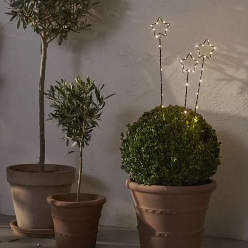 Świąteczna aranżacja z dekoracjami LED w kształcie gwiazd na palikach umieszczonymi w donicy z rośliną ciepłe światło delikatnie podkreśla formę dekoracji i tworzy przytulny klimat.
