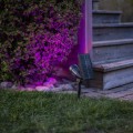 Reflektor solarny LED emitujący fioletowe światło, podkreślający rośliny dekoracyjne w ogrodzie po zmroku.