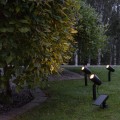 Solarne reflektory LED ogrodowe ze szpikulcem, delikatnie oświetlające rośliny punktowym światłem.