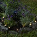 Solarne lampki LED ogrodowe w czarnej obudowie rozmieszczone wokół roślin.