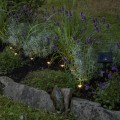 Solarne lampki LED w czarnej obudowie oświetlające rabatę z roślinami.
