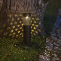 Solarny słupek ogrodowy LED w czarnym kolorze ustawiony przy pniu drzewa. Perforowana obudowa tworzy dekoracyjny, kropkowany wzór światła na korze i trawie. Oświetlenie ogrodowe do ścieżek i rabat.