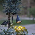 Solarny reflektor ogrodowy LED na szpikulcu z reflektorem i panelem solarnym zamontowanymi na giętkich ramionach, emitujący ciepłe białe światło do podświetlania roślin i dekoracji ogrodowych.