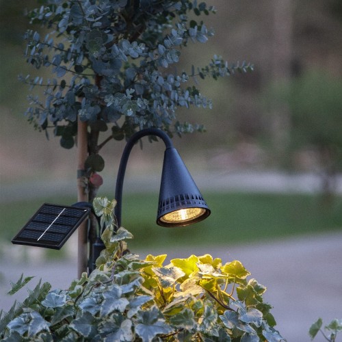 Solarny reflektor ogrodowy LED na szpikulcu z reflektorem i panelem solarnym zamontowanymi na giętkich ramionach, emitujący ciepłe białe światło do podświetlania roślin i dekoracji ogrodowych.