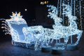 Wieczorna ekspozycja iluminacji sań i reniferów LED w przestrzeni miejskiej, z dużą choinką w tle.
