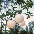 Solarne lampy ogrodowe LED w kształcie kul zawieszone na gałęzi drzewa, emitują ciepłe światło i tworzą przytulną atmosferę w ogrodzie.