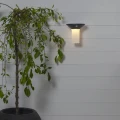 Kinkiet ogrodowy LED zamontowany na ścianie obok rośliny w donicy, zapewniający delikatne i funkcjonalne oświetlenie zewnętrzne.