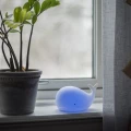 Lampka nocna wieloryb na parapecie obok rośliny, świecąca spokojnym niebieskim światłem.