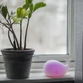 Lampka LED wieloryb ustawiona przy oknie i doniczce, emitująca subtelne różowe światło.
