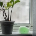 Lampka LED wieloryb na parapecie z rośliną, świecąca delikatnym zielonym światłem.