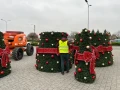 Montaż dekoracyjnej choinki modułowej z czerwonymi kokardami i bombkami. Na placu leżą sekcje choinki, obok pracownik w kamizelce z logo AMLED i podnośnik koszowy. Tło stanowi parking z lampami i pochmurne niebo.