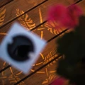 Zbliżenie na dekoracyjne wzory świetlne tworzone przez lampion solarny LED z wycinanym motywem liści na drewnianej powierzchni.