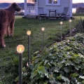 Solarne lampki ogrodowe LED z kulistymi kloszami oświetlające rabatę przy trawniku obok domu i tarasu o zmierzchu.