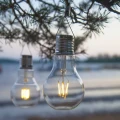 Dwie dekoracyjne żarówki solarne LED zawieszone na gałęzi drzewa. Ciepłe światło filamentu podkreśla minimalistyczny wygląd lamp i tworzy subtelną atmosferę podczas wieczornego wypoczynku na świeżym powietrzu.