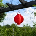 Czerwony lampion solarny LED zawieszony pod pergolą wśród zielonych pnączy. Dekoracyjna latarenka ogrodowa dodaje przestrzeni koloru i tworzy przyjemny nastrój na tarasie lub w ogrodzie.