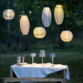 Wieczorna aranżacja ogrodu z dekoracyjnymi lampionami solarnymi LED zawieszonymi na gałęzi. Wśród różnych modeli widoczny jest również podłużny lampion emitujący ciepłe światło.