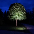 Żarówka LED zastosowana w reflektorze ogrodowym, oświetlająca koronę drzewa podczas wieczornej aranżacji ogrodu.