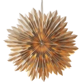 501-81_MN.png