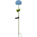 481-56_FL_001.png