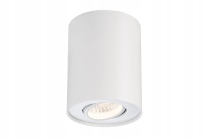PAULMANN BARREL LED OPRAWA NATYNKOWA 1X6W BIAŁA