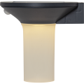 Lampa solarna LED w czarnej obudowie z jasnym kloszem i wbudowanym czujnikiem ruchu, przeznaczona do montażu na elewacji.