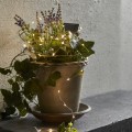 Zbliżenie na łańcuch solarny Dew Drop LED z mikro diodami oplatającymi donicę z lawendą i bluszczem. Delikatne ciepłe światło podkreśla rośliny oraz tworzy przytulną atmosferę na tarasie, balkonie lub przy wejściu do domu po zmroku.