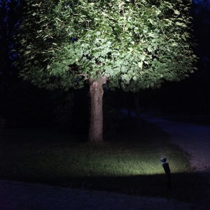 Żarówka LED PAR38 IP65 4000k