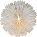 501-14_FL_001.png