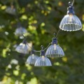 Girlanda LED z przydymionymi kloszami zawieszona wśród zieleni ogrodu, dekoracyjne oświetlenie tworzące nastrojowy efekt wieczorem.