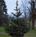 Kolorowe lampki choinkowe LED DIAMOND STAR rozwieszone na choince w ogrodzie, świecące na zielono, niebiesko, czerwono i żółto.