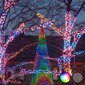 Profesjonalne lampki Animowane 250 LED RGBW 2x12,5m TR