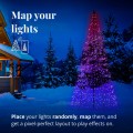 Light Tree_Vis05_Mapping.jpg