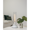 Nowoczesna lampa stołowa z cylindrycznym kloszem i żarówką LED E27 T30 na stoliku obok zielonej rośliny.