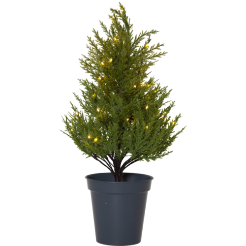 Sztuczne drzewko THUJA z podświetleniem LED w ciemnej doniczce, sfotografowane na białym tle.