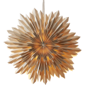 501-81_MN.png