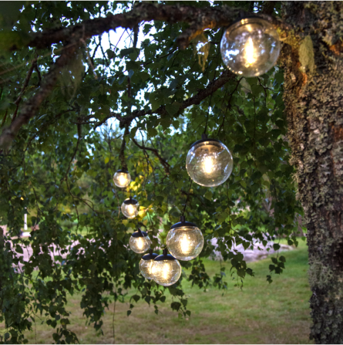 Girlanda solarna LED GLOBE z przezroczystymi kulami zawieszona na gałęziach drzewa, ciepłe światło tworzące nastrojowe oświetlenie ogrodu po zmroku.