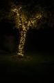 DSC_7097.jpg